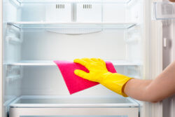 refrigerator cleaning